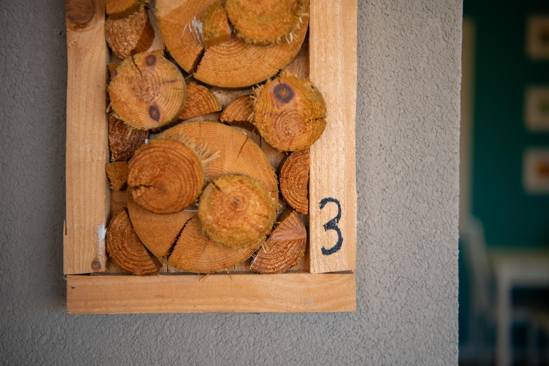 Villa Ulivi Apt. 3 — Vista 10