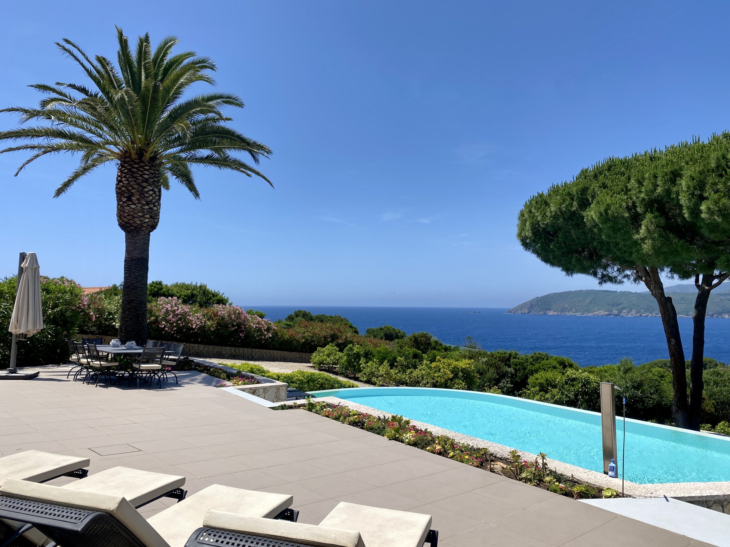 Vista mare con palme